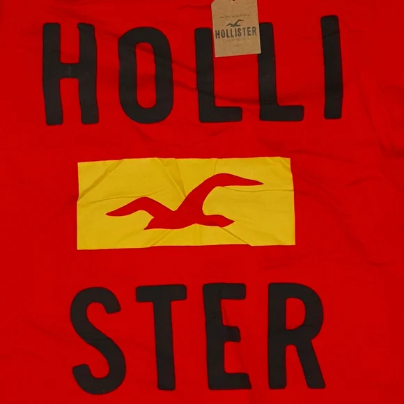 HOLLISTER TEES SHORT SLEEVE - Picture 7 of 7